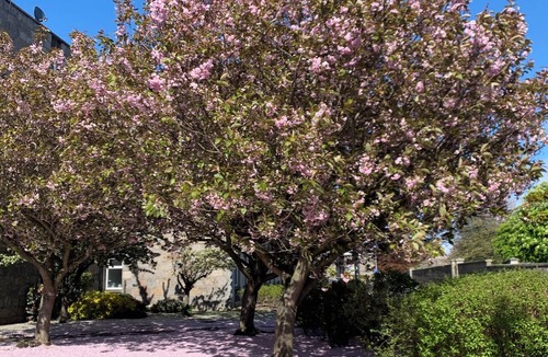 Aberdeen West End Apartment | Modern fully fitted two bedroom apartment. Pet friendly. Free parking. Sleeps 5.
