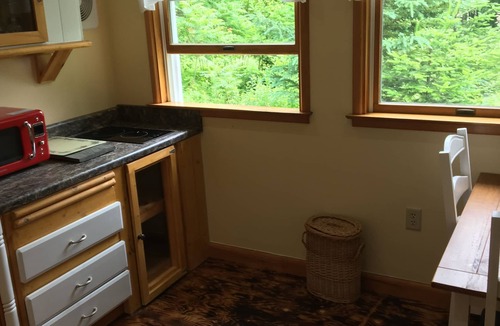 Searsport House | Nature's Whisper Serene Bungalow in a Forest setting with Sauna and Hot/Cold Tub