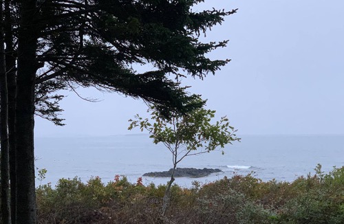 Phippsburg Apartment | Nest del Mar-Gorgeous Classic Maine Camp on the Ocean