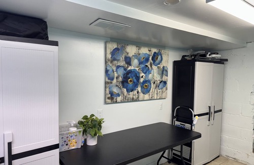 Ypsilanti Apartment | NEW! Chic Remodeled Retreat Near EMU: Easy Commute
