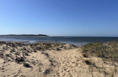 Wellfleet Cottage | NEW in 2026: Bright, Cozy Cottage in Wellfleet; Steps to Beach & Restaurants!