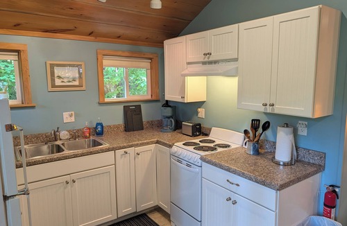 Arcadia Cabin | NEW! Jack-in-the-Pulpit - Cute and Cozy Cabin with Woodsy Nature Vibes! Includes Firepit Area, Grill, and Window A/C Unit! Perfect Getaway Location for Family and Friends!