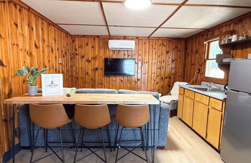 Mason County Cabin | New listing! Rustic 6-cabin resort on Long Lake with a beach and waterslide
