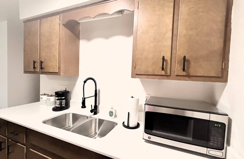 Lansing Apartment | Newly Remodeled + Modern + 1 Bed/1 Bath Near Airport