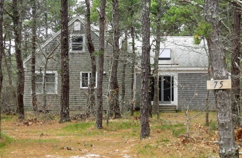 Wellfleet House | Newly Updated Spacious Home in Quiet Wooded Area (1246)
