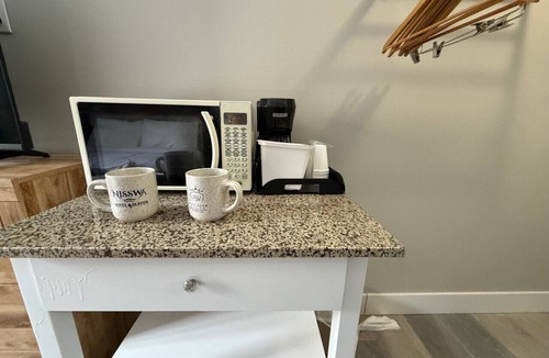 Nisswa Bed & Breakfast | Nisswa Hotel & Suites Upper Gull Lake Single Queen · Kitchenette