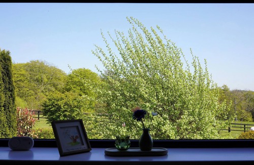 Consett Cottage | No.3 The Old Stables is a cozy cottage near Durham city, fully pet friendly!