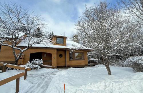 Carroll Villa | O1 Slopeside Bretton Woods cottage with AC large patio and private yard Walk to slopes