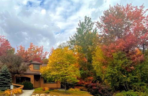 Carroll Villa | O1 Slopeside Bretton Woods cottage with AC large patio and private yard Walk to slopes