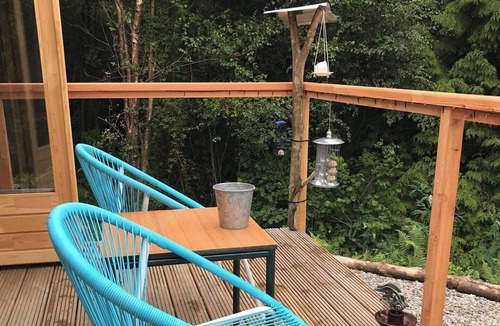 Kilmun Cabin | Off Grid Cabin Sleeps 2, Pets Ok, 20 min to Dunoon