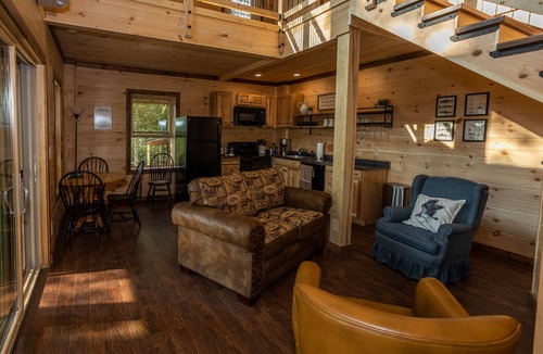 Bristol Cabin | Osprey | Cabin on the South Holston River