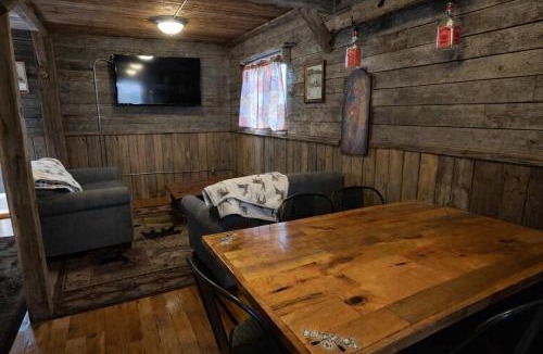 Arbor Vitae House | Outback Shack: Lake Access Studio in Woodruff