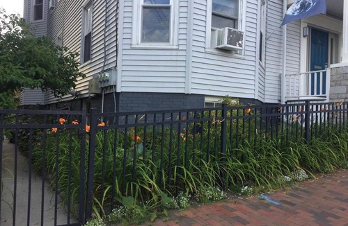 Munjoy Hill Apartment | Peaceful Oasis on Munjoy Hill 2nd flr 3BR parking