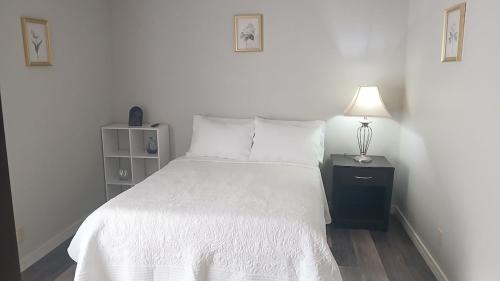 Tulsa House | Perfect and cozy 3-2 bedroom house in Tulsa!