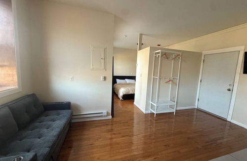 Brush Park Apartment | Pet Friendly Apartment In Arena District with Parking