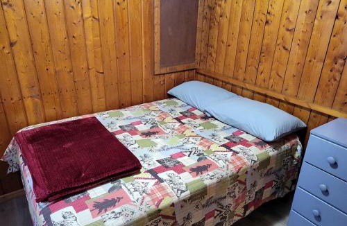 Houghton Lake House | Pet-Friendly Lake Cabin with Dock & Kayaks & Fire Pit in Houghton Lake, Michigan