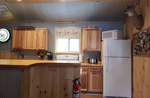 Petoskey Cabin | Petoskey - cozy, peaceful cabin in the woods. Close to trails and lakes!