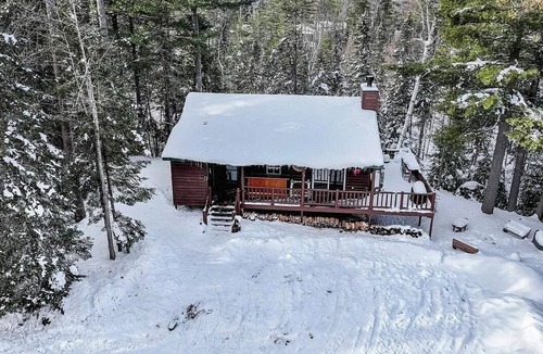 Mercer Cabin | Pine Forest Hideaway
