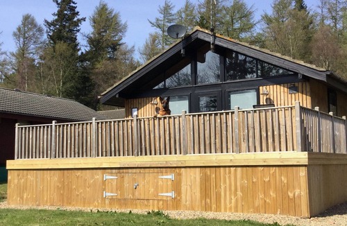 Otterburn Cabin | Pine Tree - 3 bedroom, 2 bathroom, Secluded Hot tub and Pet friendly