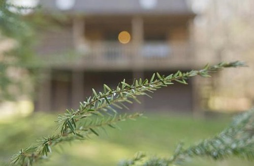 South Bloomingville House | Pioneer - Hocking Hills Cabin