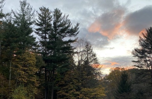 Salisbury Cabin | Private creek side farm stay — walkable to Salisbury