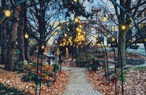 Fort Wayne Hotel | Queen Room Near Lakeside Park Rose Garden