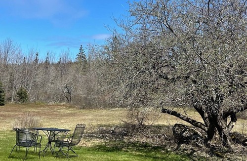 Seal Cove House | Quietside Meadow-Newly renovated 2 bedroom house located on the quietside of MDI