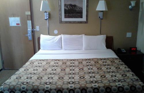 Rochester Hotel | Red Carpet Inn Rochester