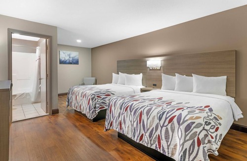 Swansea Hotel | Red Roof Inn & Suites Swansea
