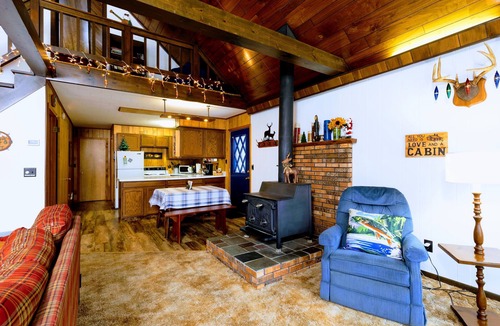 Baldwin Cabin | Relax on the banks of the Pere Marquette River!