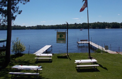 Harshaw Cabin | Relaxing Northwoods on Beautiful Oneida Lake