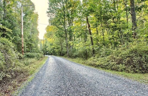 Millmont Cabin | Renovated Riverfront Cabin w/ Outdoor Adventures