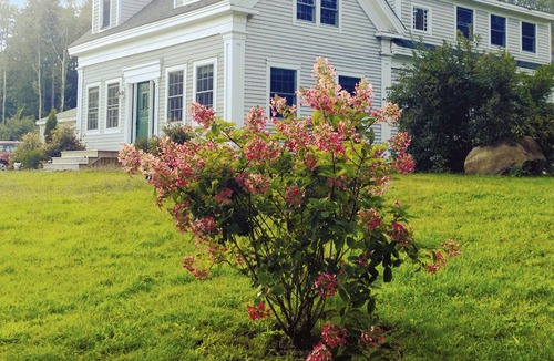 Chebeague Island House | Renovated, Sunny 1850's Island Farmhouse