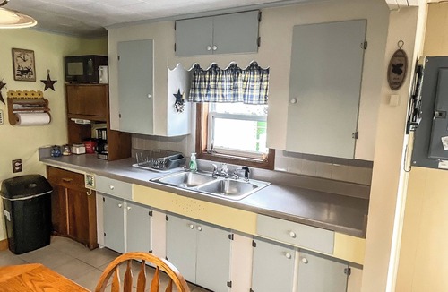 Lake City House | Retro Moose Cottage Near Lake Missaukee