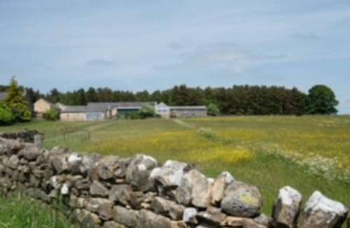 Haydon Bridge Cottage | Riverside Cottage at Grindon Farm