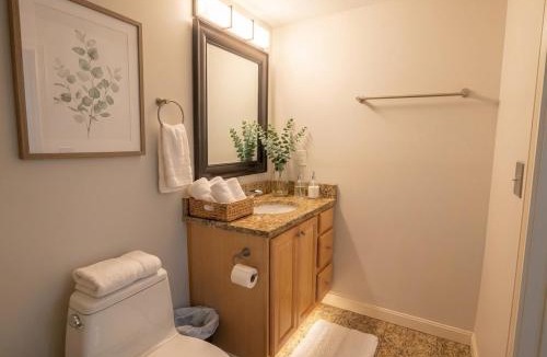 Ohio City Apartment | Riverview Balcony Parking Gym-Boathouse