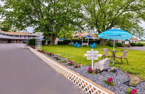 Orleans Hotel | Rodeway Inn Orleans - Cape Cod
