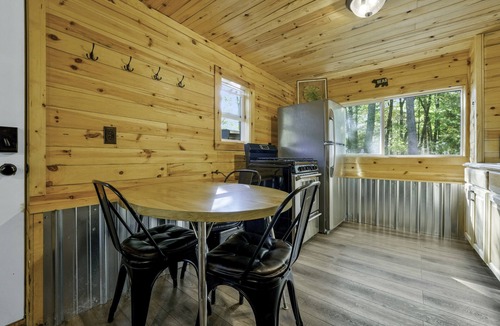 Wellston Cabin | Sand Lake Log Cabin- Pets OK, Starlink Wifi, Smart TV, AC, Grill, Firepit