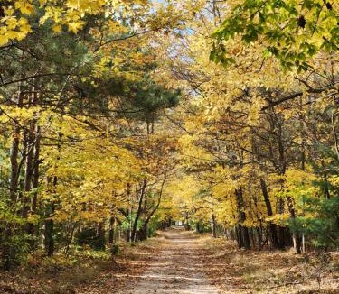 Muskegon Other | Scenic Drive Resort