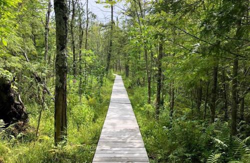 Arcadia House | Schoolhouse Lake Retreat with Free Pontoon