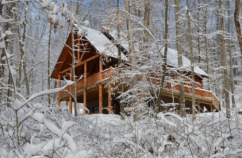 Warsaw Cabin | Secluded 3-bedroom cabin on 42 wooded acres with fishing pond, AC, WiFi