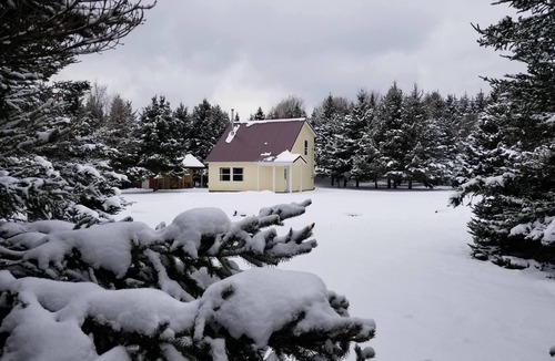 Copemish Cabin | Secluded cabin surrounded by 8 acres of nature