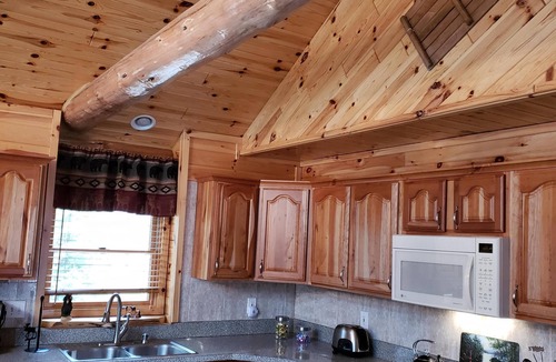 Gaylord Cabin | Secluded Log Home Getaway in Gaylord with Private Lake Access
