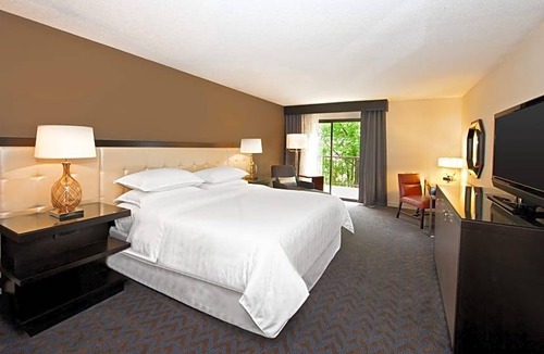 Minnetonka Hotel | Sheraton Minneapolis West Hotel