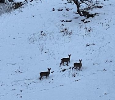 Skipton Apartment | Simon’s Seat View