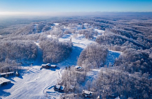 Upson House | Ski-in/out 1 Bdrm Chalet w sauna on slopes, lake & golf course - sleeps 2