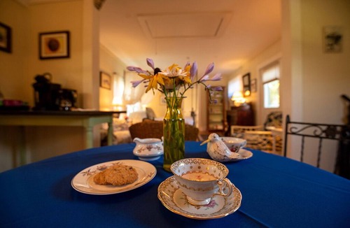 New Harbor Cottage | Snowball Hill Cottage - Near Pemaquid Beach & New Harbor Village.