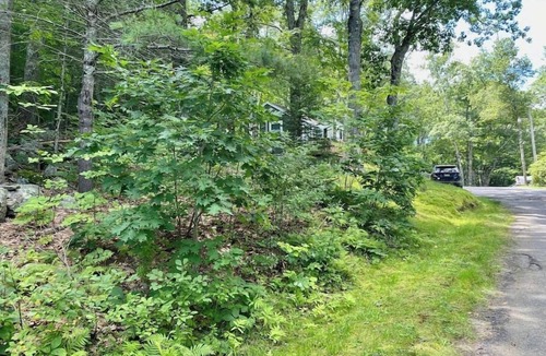 Edgecomb Cottage | Spacious 1 Bedroom Cottage Close to Everything 3