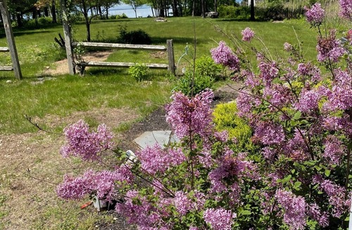 Kittery House | Spinney Creek 2 bedroom home in Kittery, minutes to Portsmouth, York + Ogunquit