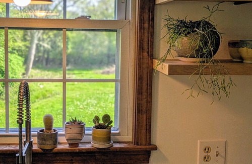 Westport Apartment | Studio guesthouse on our farm in beautiful South Westport.